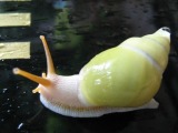 �����ނ�